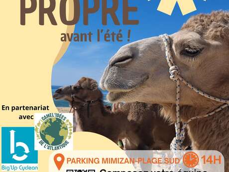 Opération "plage propre avant l'été !"