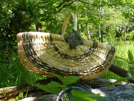 Balade au coeur de la vannerie