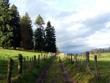 Au Pied des Monédières