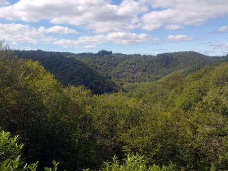 Sentier des charbonniers