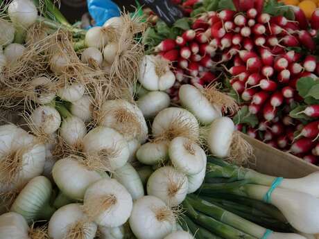Fairs and markets at Pompadour (copie)