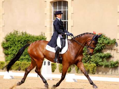 Summer Dressage Competition
