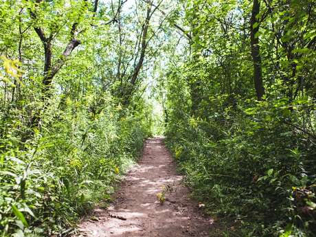 Trail de l'Arboretum