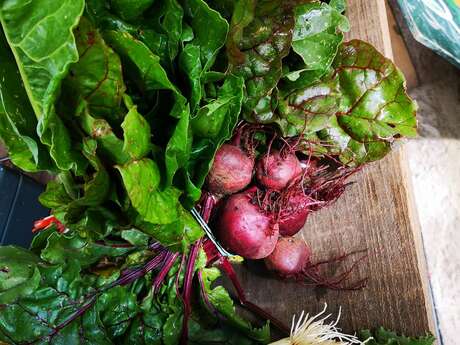 Fête annuelle (copie)