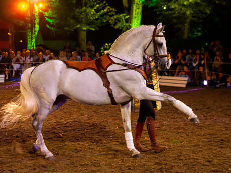 Equestrian show (copie)