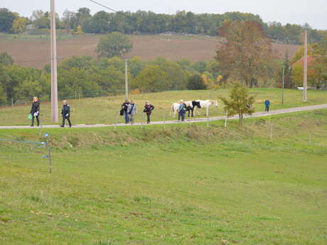 Sur les hauteurs de Saint-Robert
