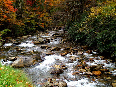 Gorges de la Rozeille