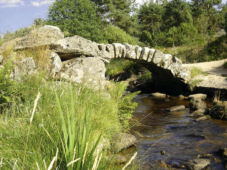 Pont de Senoueix