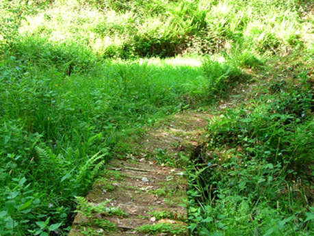 Balade au Lavoir de Brézenty