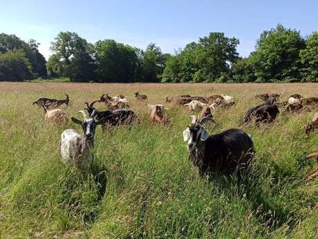 La ferme des Moulins