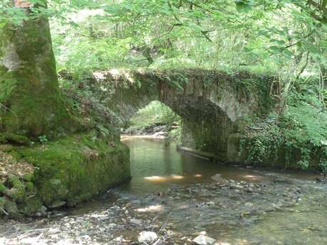 Le Pont gallo-romain et l’aqueduc du Bois Ferrut à Linard