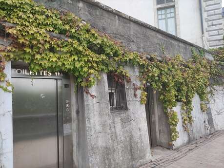 Toilettes Château de Pau