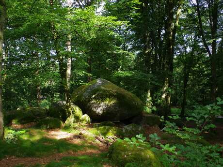 Sortilèges de la pleine lune : "Les Pierres à Légendes de Chabrières"
