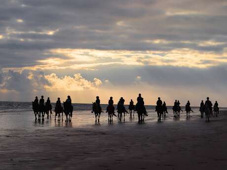 Ecurie du Bois du Cher - Poney Club