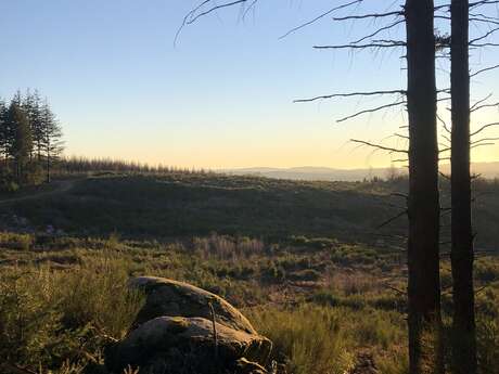 Sortileges de la pleine lune : "Les anciennes carrières du Maupuy"