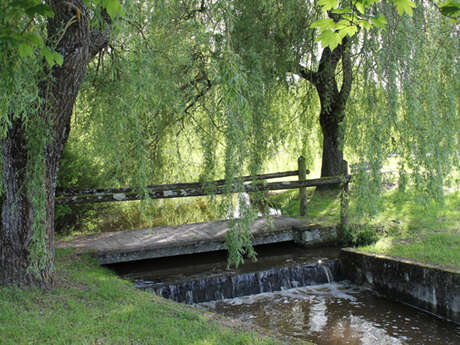 Le marais de la Chapuisette