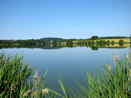 Pêche à l'étang de la Grande Cazine