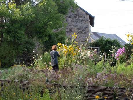 Cité des Insectes : le jardin