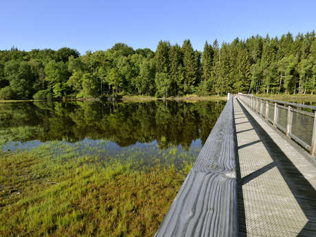 Sentier de rives du Lac de Vassivière