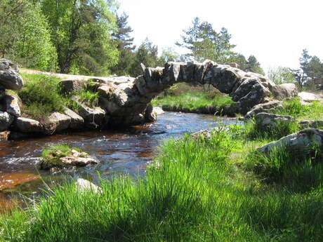 Pont de Senoueix