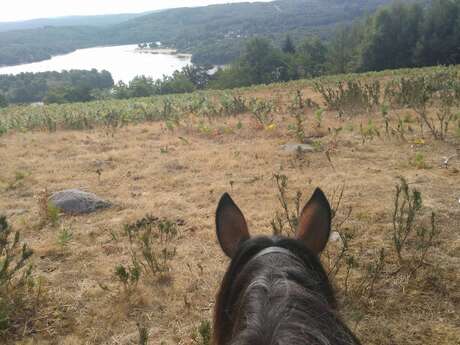 Vassivière à cheval