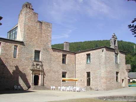 Le château de Nedde