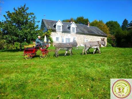 Le Gîte des ânes- Ludogîte