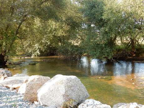 LES PIEDS DANS L'EAU