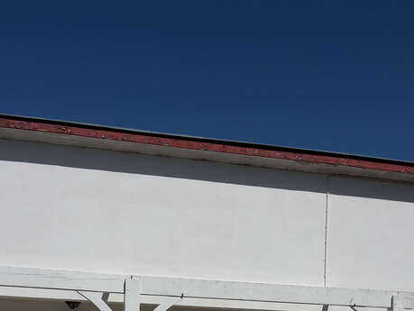 Monsieur Louis BRIESACH