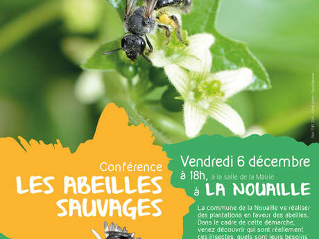 Conférence "Les abeilles sauvages"