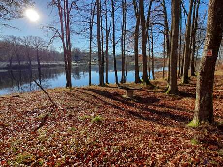 Randoguide Secret de Nature