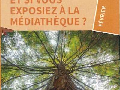 Collecte participative d'oeuvres sur les arbres