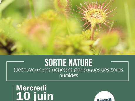 Sortie Nature :  Découverte des richesses des zones humides