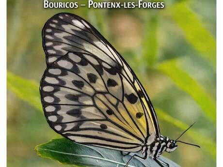 Exposition photos - Pascal Lebon