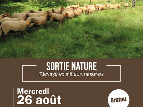 Sortie nature : Élevage et milieux naturels