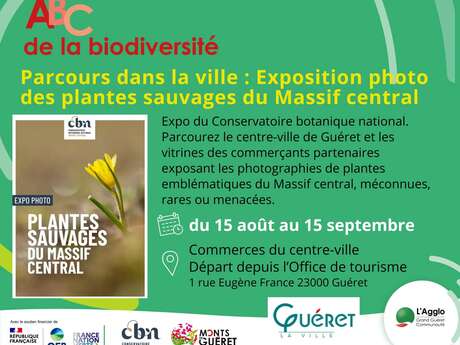 Les plantes sauvages du Massif Central