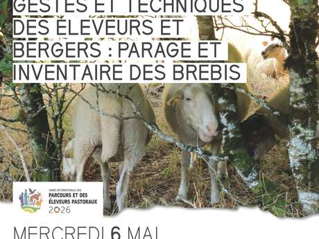 Atelier  : Gestes et techniques des éleveurs et bergers : Parage et Inventaire des brebis
