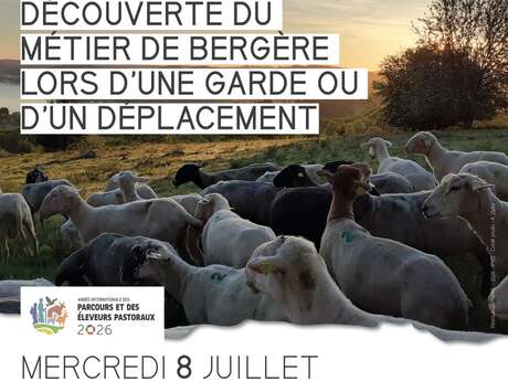 Apéro-pasto à Vassivière : Découverte du métier de bergère
