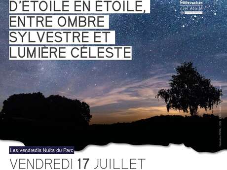 D'étoile en étoile, entre ombre sylvestre et lumière céleste