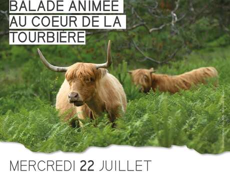 Balade animée au coeur de la tourbière