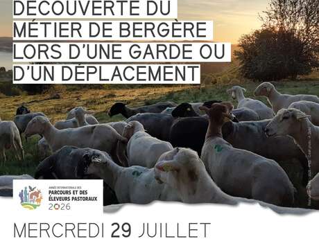 Apéro-pasto à Vassivière : Découverte du métier de bergère