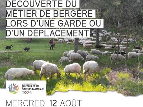 Apéro-pasto à Vassivière : Découverte du métier de bergère