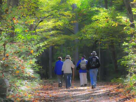 Randonnée pédestre "Cascades et Landes d'Augerolles"