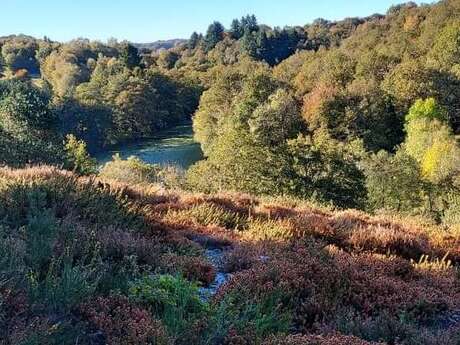 Les combes de la Cazine