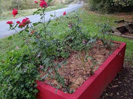 Circuit de Saint-Silvain-Bas-Le-Roc