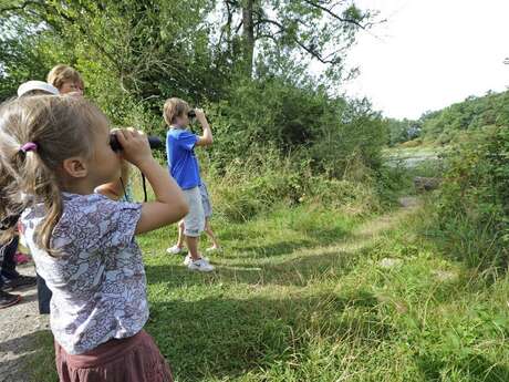 Détectives naturalistes en herbe