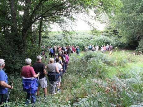 Sentier du chevrier