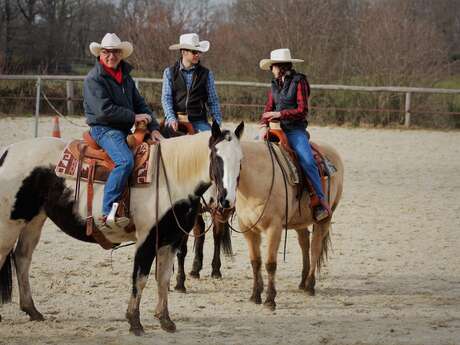 Blue Shade Ranch