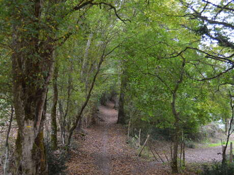 Castella, entre eau et forêt