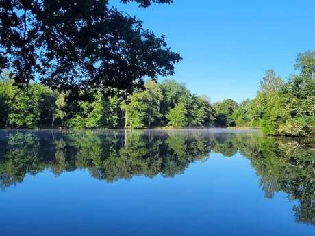 Etang de Chaux